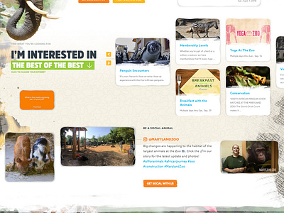 Zoo Homepage by Steve Semanchik on Dribbble