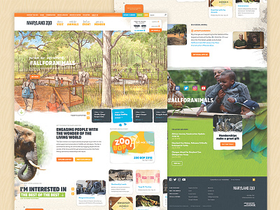 Zoo Homepage animals design ui web design zoo