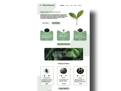 Plant selling website design designer graphic design plant plantwebui ui uidesign ux web design website websitedesign websiteui