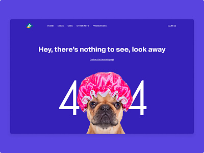 Oh shit, 404 not found... 404 design pets ui ux