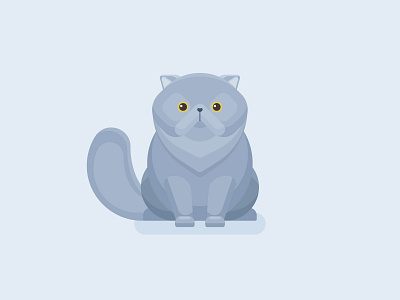 Grey Persian Cat design graphic design illustration vector