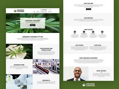 Lebanese Cannabis Home Page cannabis lebanese ui ux website design