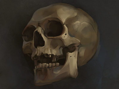 Skull illustration 2d art drawing illustration painting procreate skull