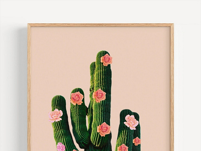 Checkout Our Cactus Rose Wall Art With Frame - The Arte canvas art prints fine art printing framed art prints made in australia modern art prints nature photography photography wall art the arte wall art photography