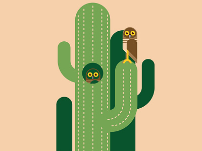 Owls & Cacti birds burrowingowls cacti cactus fauna flora geometric geometrical owls simple vector