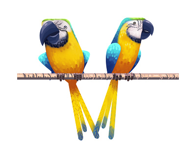 Macaw 2d 3d animation branding character design explainer video graphic design illustration india logo motion graphics ui