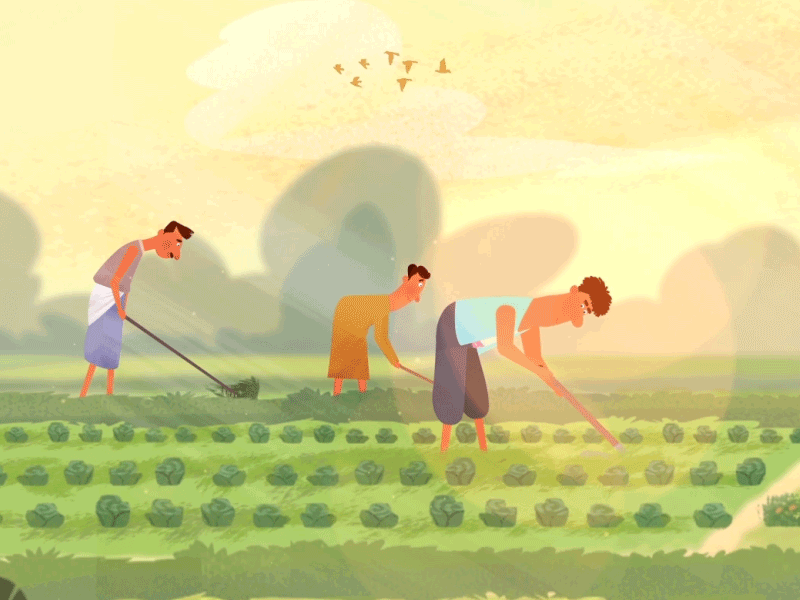 Farming Family 2d aftereffects animation birds character colours design explainer video farming illustration illustrations india lighting man shades