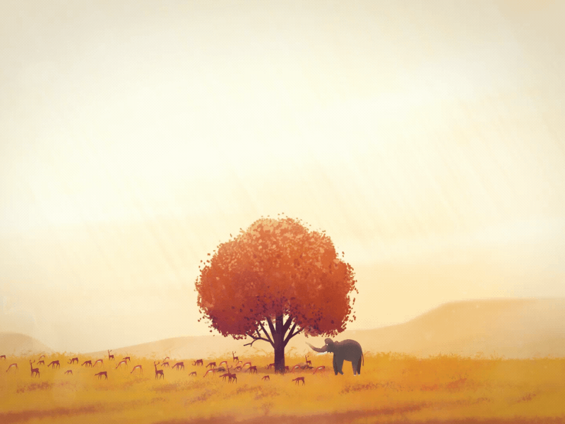 Forest At Peace by Mypromovideos Studio on Dribbble