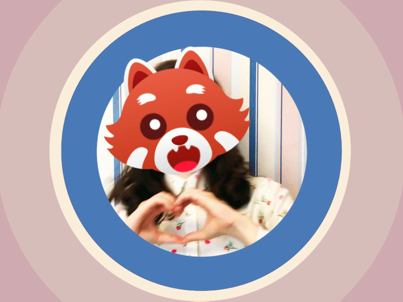 RED PANDA! 2d animation after effects animation cartoon character design face emotions funny panda red panda