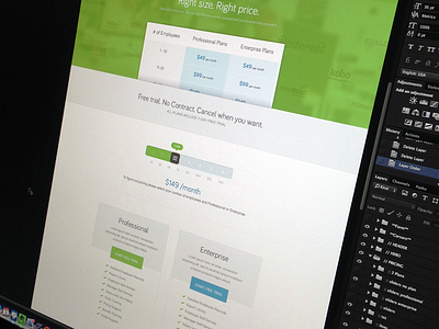 Bamboo Pricing focus lab hero icons pricing slider web design website