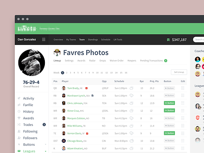 Fantasy Football Team Page branding flat focus lab icons ui ui design user interface