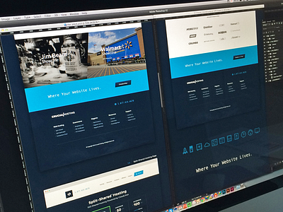 Crucial Hosting branding focus lab hosting icons marketing pitch web design website