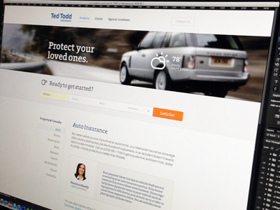 Ted Todd clean focus lab icons insurance minimal photo web design website