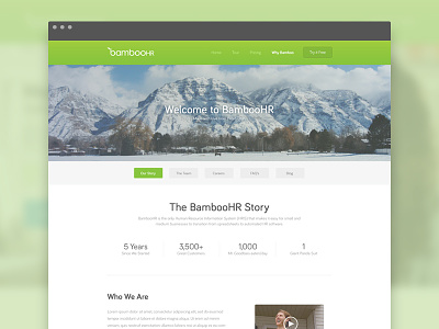 BambooHR Story focus lab human resources icons web design website