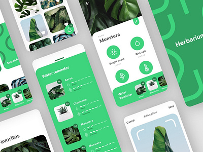 Plants plants plants app button concept design graphic green information interface ios mobile notification plants reminder ui uidesign ux uxdesign vector water