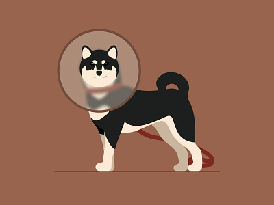 🐶 animal character cute dog illustration