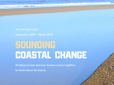 Sounding Coastal Change Website