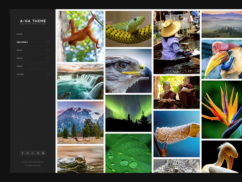 A-Ha Theme | Photography Demo a ha buy gallery photography psd theme themeforest
