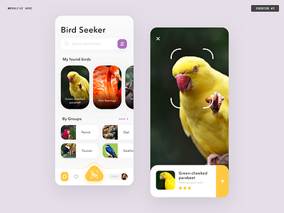 Bird Seeker App app application bird bright colors coloful fun scan seek and find ui wui4xxi