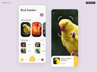 Bird Seeker App