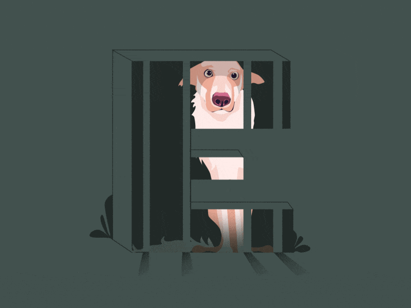 36 Days of Type - E 2d 36daysoftype ae after effect animated animation character creative dog flat gif illustration motion vector