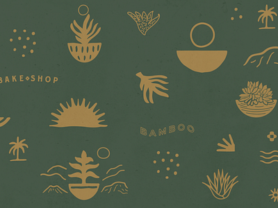 Bamboo Pattern branding design earthy illustration logo natural pattern vibe vintage