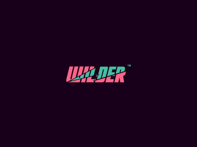 Wilder Logo typography design colorful bright retro branding mark glass broken shatter wordmark logo