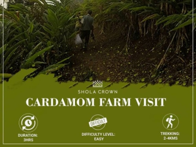 Cardamom Farm Visit travel resort trek