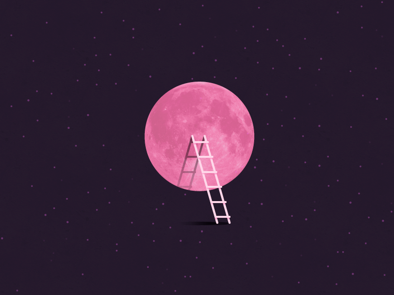 Pink Full Moon Tonight By Kira Chao Dribbble Pink Full Moon Tonight Minimal Ilration Ladder April