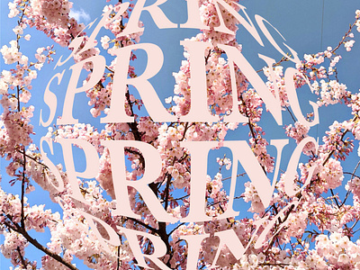 Spring design graphic design typography