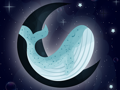 Whale 3d animation app branding design graphic design illustration logo motion graphics typography ui vector