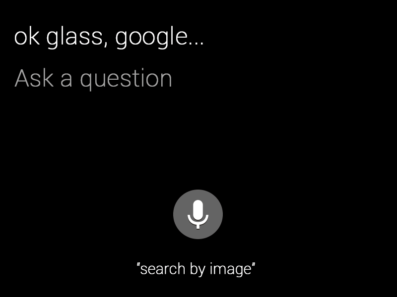 Google glass goggles
