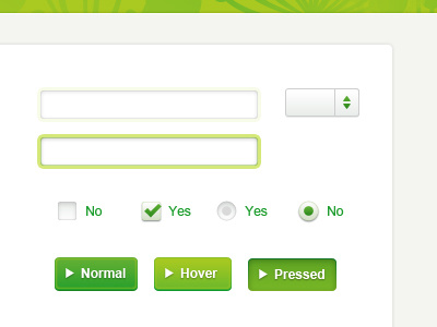 Questionnaire and forms button checkbox form green radio