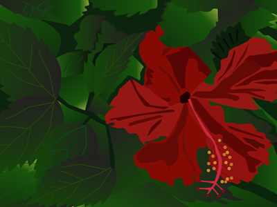 Hibiscus Trails colours design doodle flowers forest graphicdesign illustration landscape nature travel