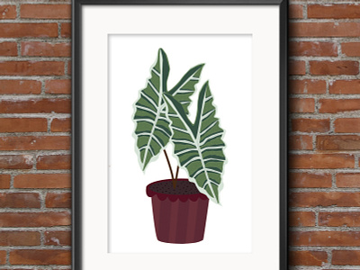 Plant Illustrations colours design doodle illustration india minimal photography planting plants traditional travel vector