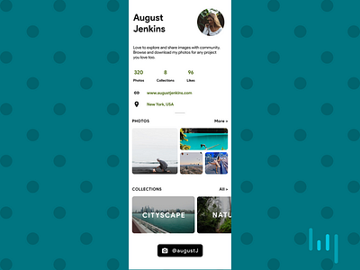 Wallup Photographer's Profile app design photographer profile ui