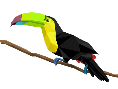 Polygon vector toucan