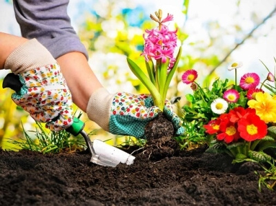 Gardening Services - Hire a Gardener Near You - Ohhpro garden care ulsoor gardener near me gardeners for hire gardening services