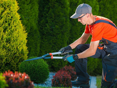 Gardening Services - Hire a Gardener Near You - Ohhpro