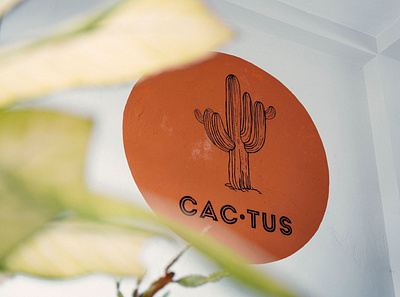 Cactus bar mural design graphic design illustration