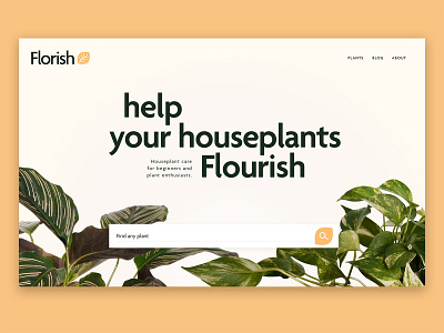 Florish colorfull graphic design landingspage plants ui