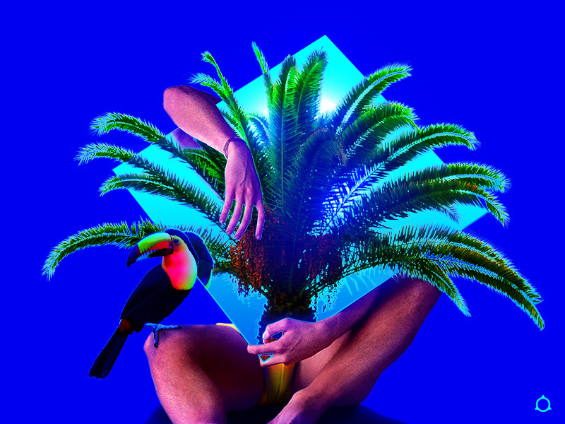 𝑷𝒔𝒂𝒍𝒎𝒔 𝒂𝒃𝒐𝒖𝒕 𝑷𝒂𝒍𝒎𝒔 🌴✧˖° aesthetics exotic gay graphic design holiday illustration lgbt lgbtq male mood palm palms pride pride month queer summer toucan travel tropic vacaction