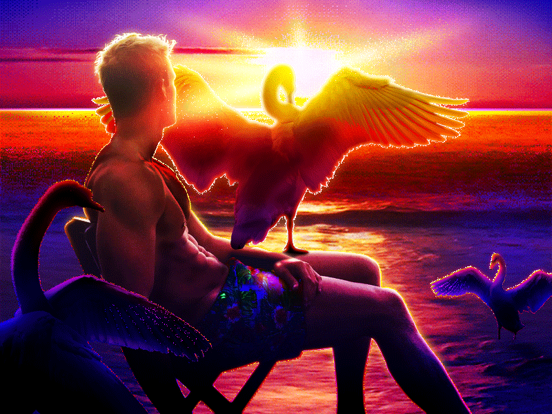 𝓣𝓸 𝓢𝔀𝓸𝓸𝓷 𝓞𝓿𝓮𝓻 𝓢𝔀𝓪𝓷𝓼 🦢♡˖° animated animation beautiful dreamscape gay gif gradient male ocean queer relax retro romantic summer sunrise sunset swan swimming vacation water