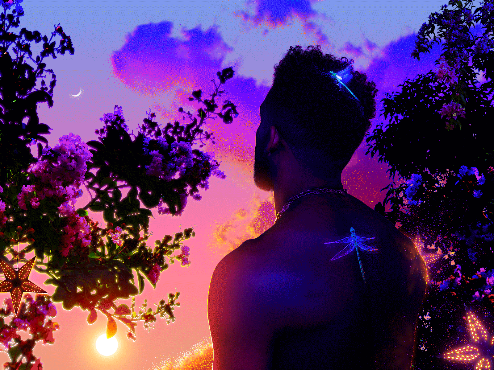 🔭🌒✧˖° aesthetics animation botanical boy dragonfly fairy lights floral flowers foliage garden gay gif gradient gradients illustration insect mood queer sunset vibes