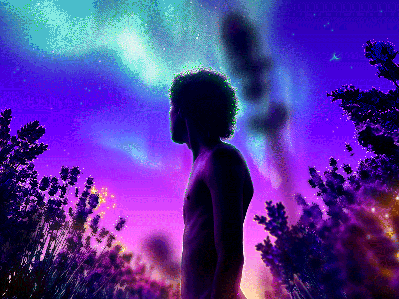 𝑳𝒊𝒈𝒉𝒕𝒔 & 𝑳𝒂𝒗𝒆𝒏𝒅𝒆𝒓 🎆˖°⊹ animation aurora botanical boy dusk evening field fireflies floral flowers garden gay gif gradient lavender nothern lights purple queer romantic sunset