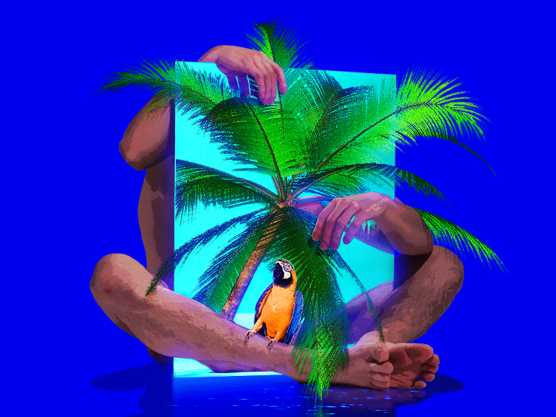 𝑃 𝐴 𝐿 𝑀 𝐴 𝑅 𝑌 🌴🦜 aesthetics animation boy exotic gay gif holiday minimal mood motion nature neon palmtree parrot plants queer summer tropic vacation vibes