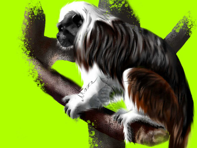 Cotton-top tamarin monkey animals digital art drawing illustration krita monkey nature painting tamarin