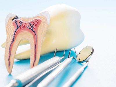 Endodontic assessment - Dental Scan Centre by Dental Scan Centre on ...