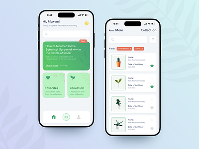 Some screens of the plant recognition application app application application design design feedback follow graphic design green illustration like mobile mobile app mobile design plant ui uiux uiux design ux vector