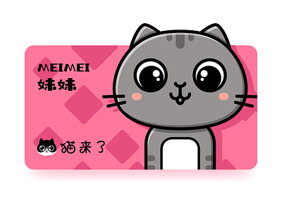 A cat named MEIMEI cat